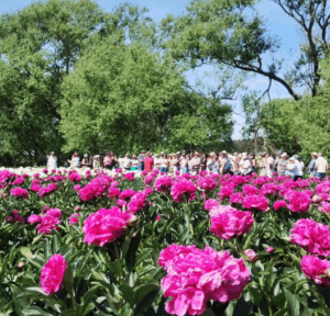 Jornadas de Producciones Alternativas