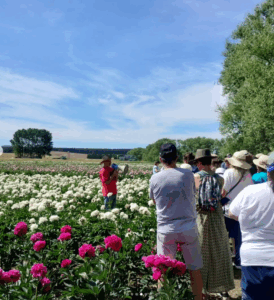 Jornadas de Producciones Alternativas
