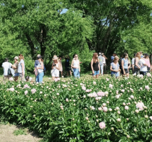 Jornadas de Producciones Alternativas